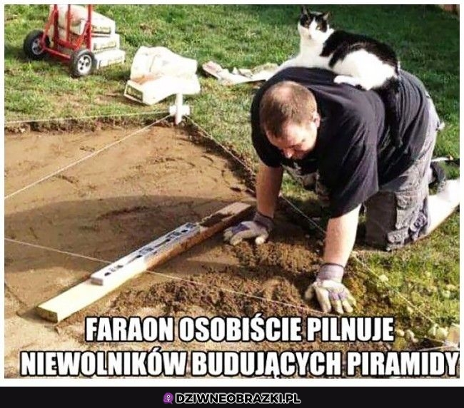 Przypilnowane