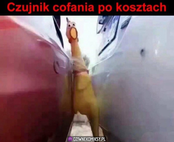 Zawsze coś