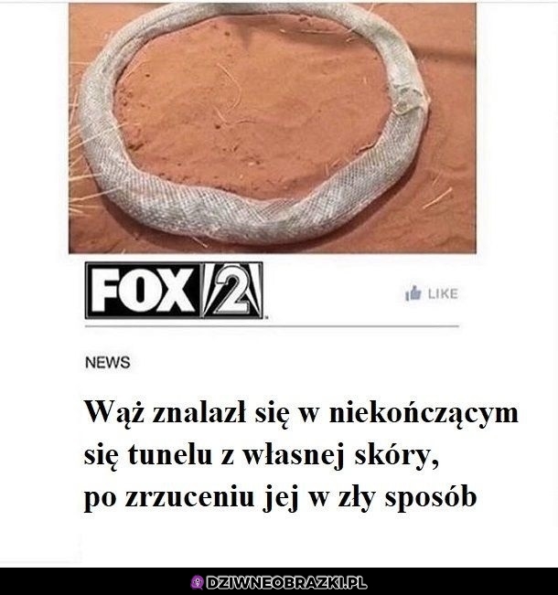 Tak jak my wszyscy