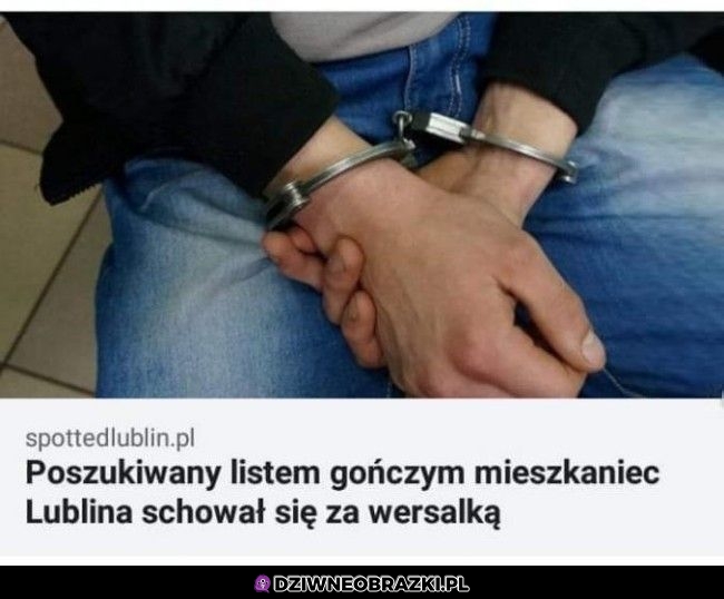 Genialna kryjówka