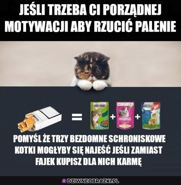 Motywator