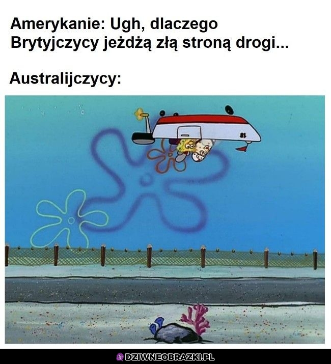 Tymczasem Australia