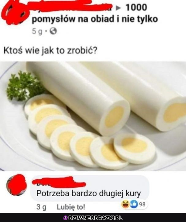 długie kury takie znoszą