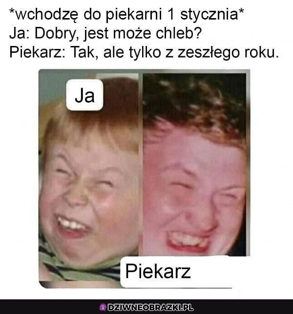Chlebek