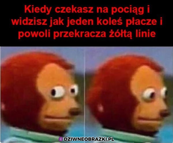 Weź pod następny idioto!