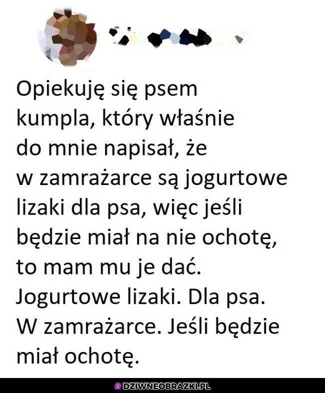 Piesek ma całkiem dobrze