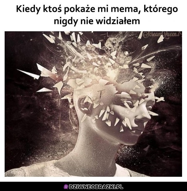 Mózg rozje*any