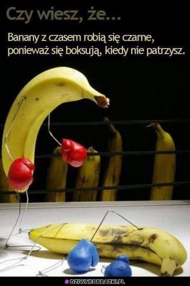 Sekret bananów