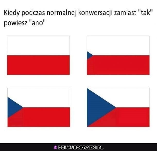 Ano