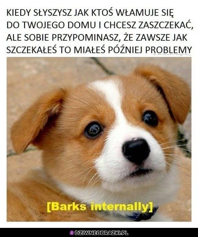Najgorzej