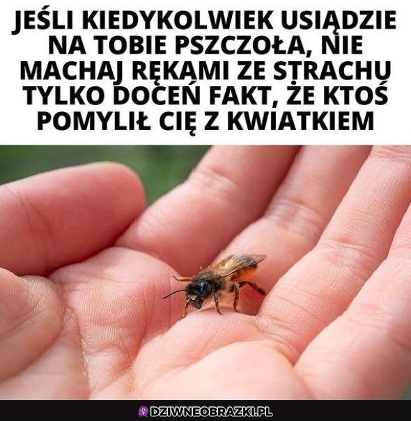 Doceniaj to Doceniaj to