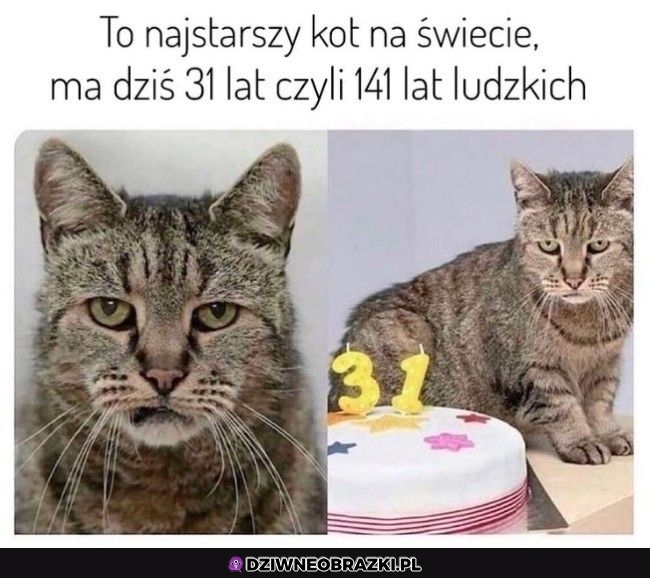 Widział wiele