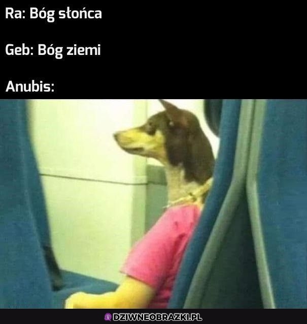 Anubis
