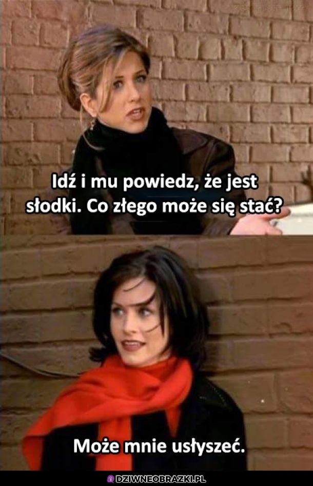 Co może pójść źle?