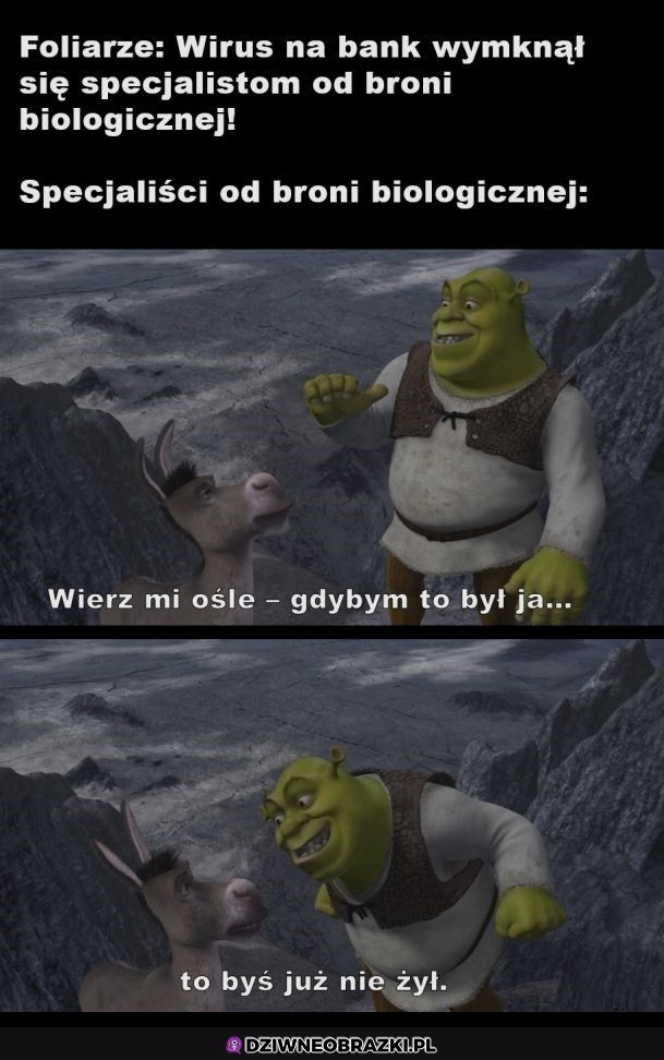 Wirus