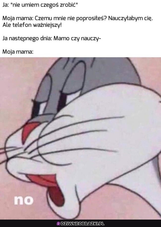 Nauczka
