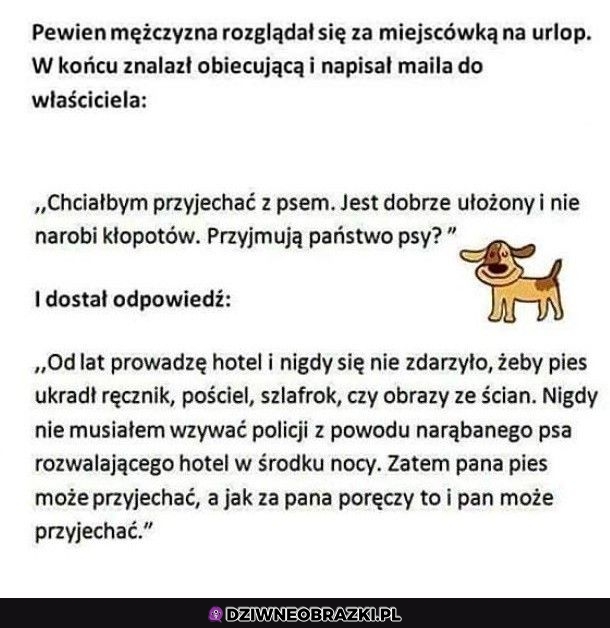 Czy można z pieskiem?