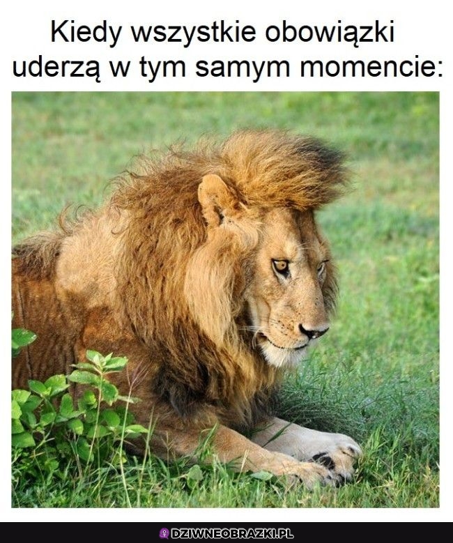 Ten moment