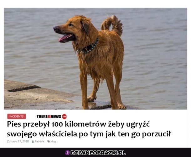 W pełni rozumiem