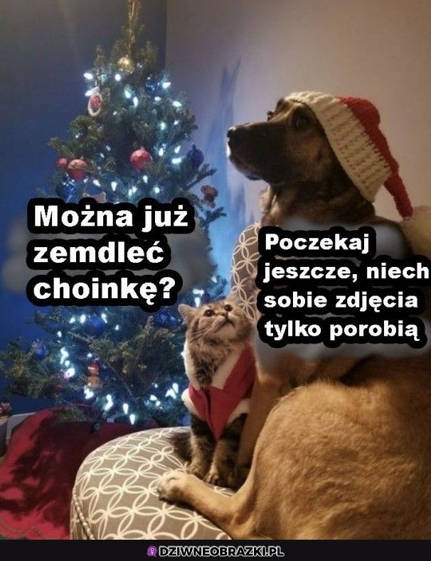 Już można