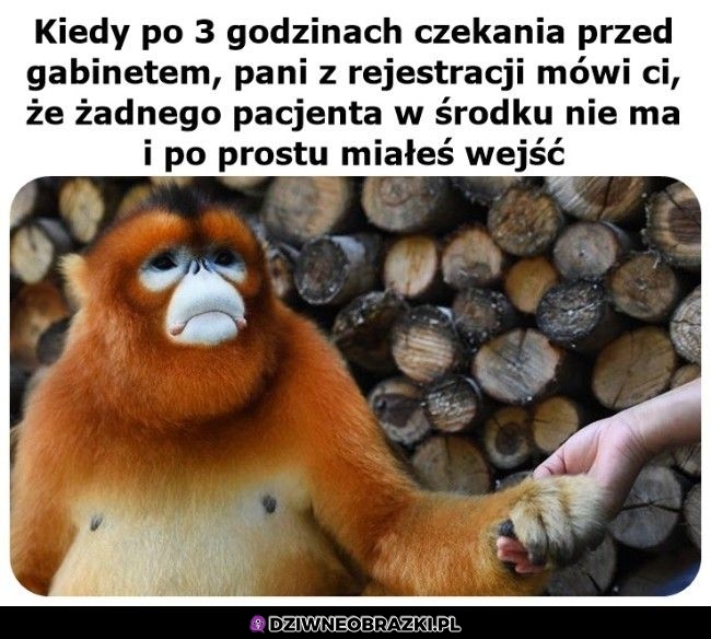 Najgorzej