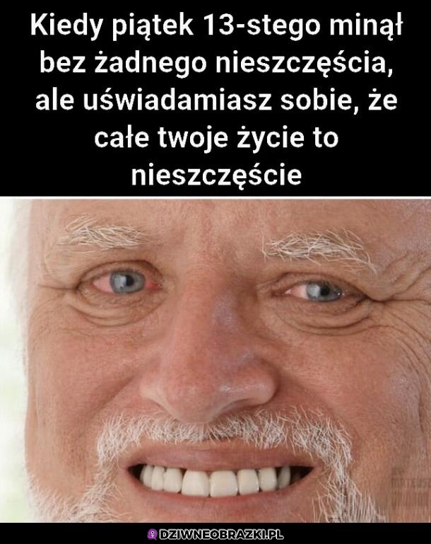 Niestety