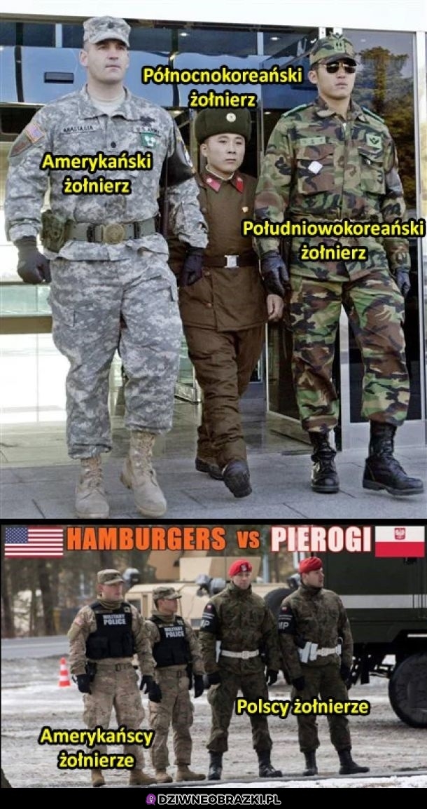 Żołnierze