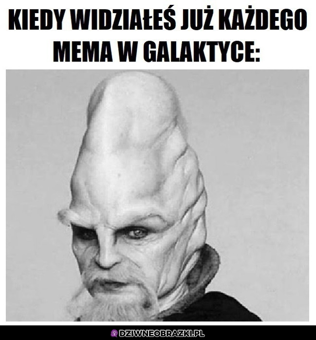 Widział wszystko