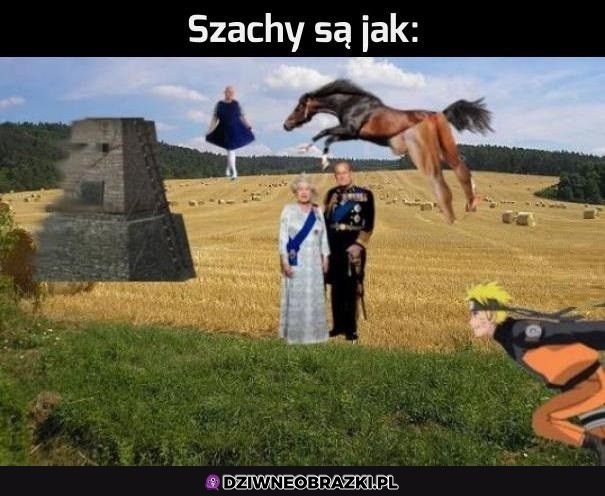 Szachy