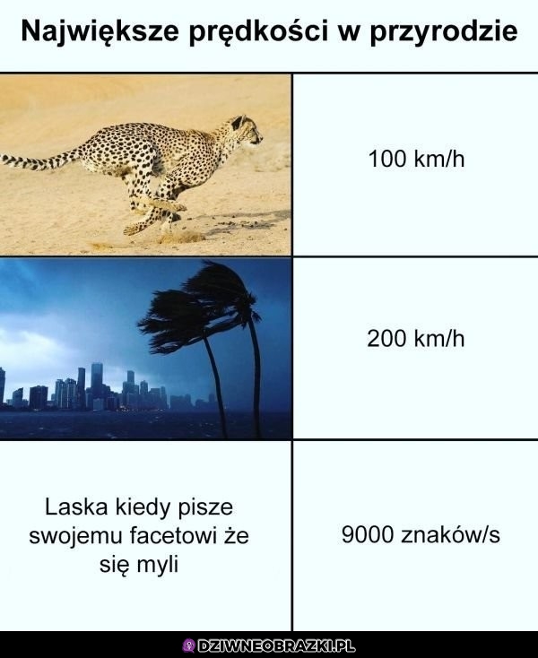Najszybsza