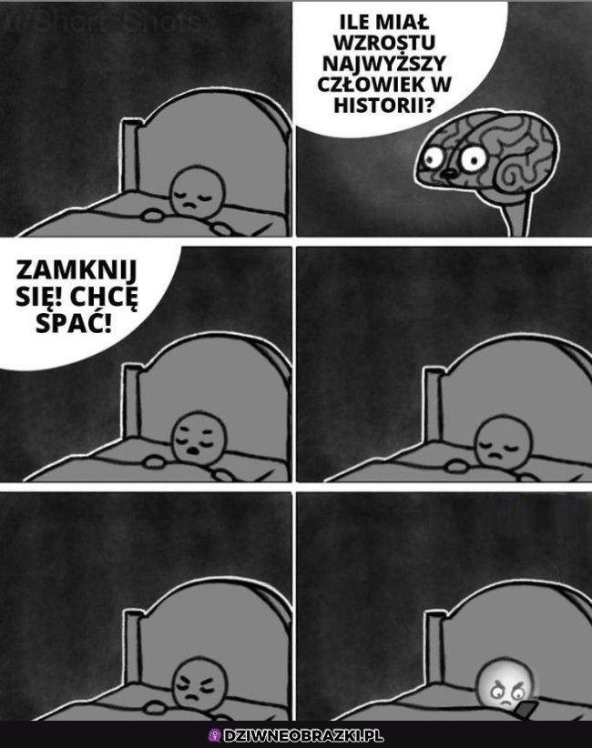 Ten moment