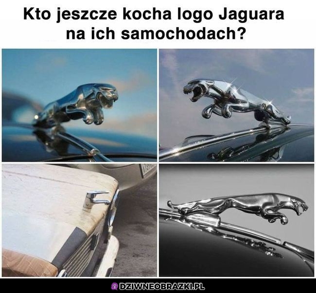Jaguary