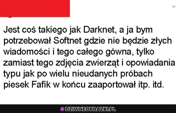 Tego potrzebuję
