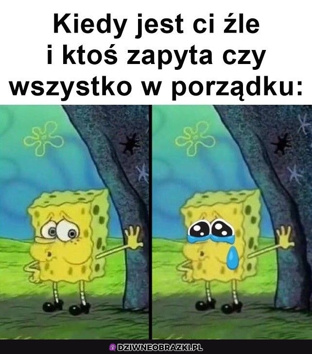 Ten moment