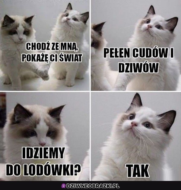 Najpiękniejsze miejsce