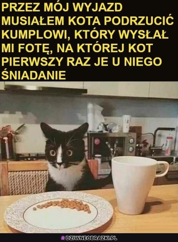 Jaki zdziwiony