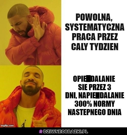 Zawsze w pracy