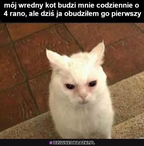 Obudziłeś zło człowieku