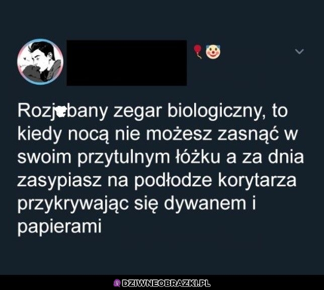 Dokładnie tak