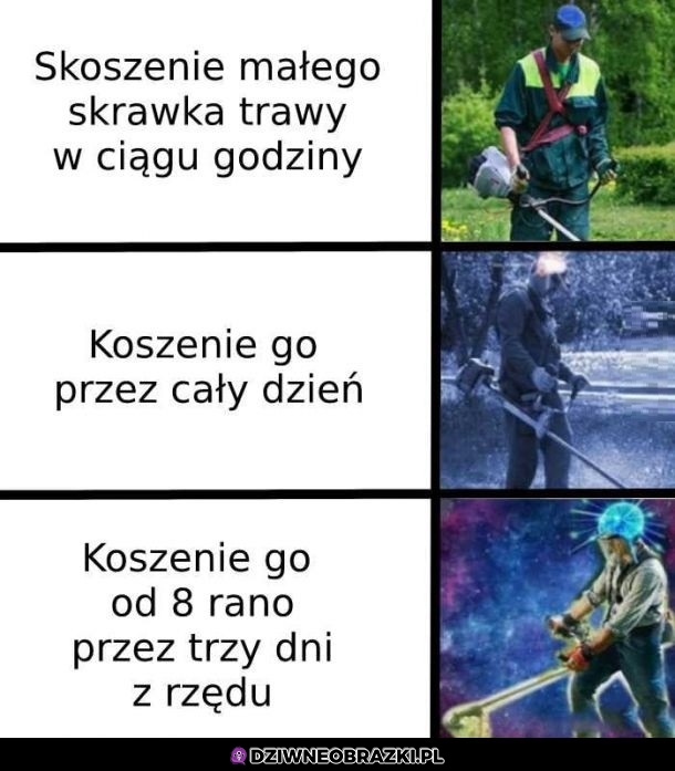 Koszenie