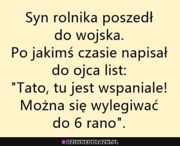 Syn Rolnika