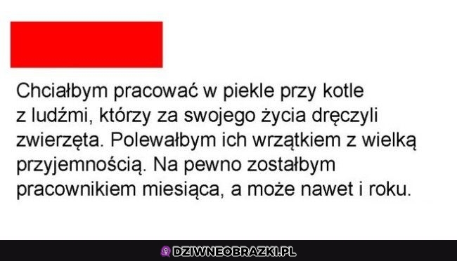 Wymarzone zajęcie