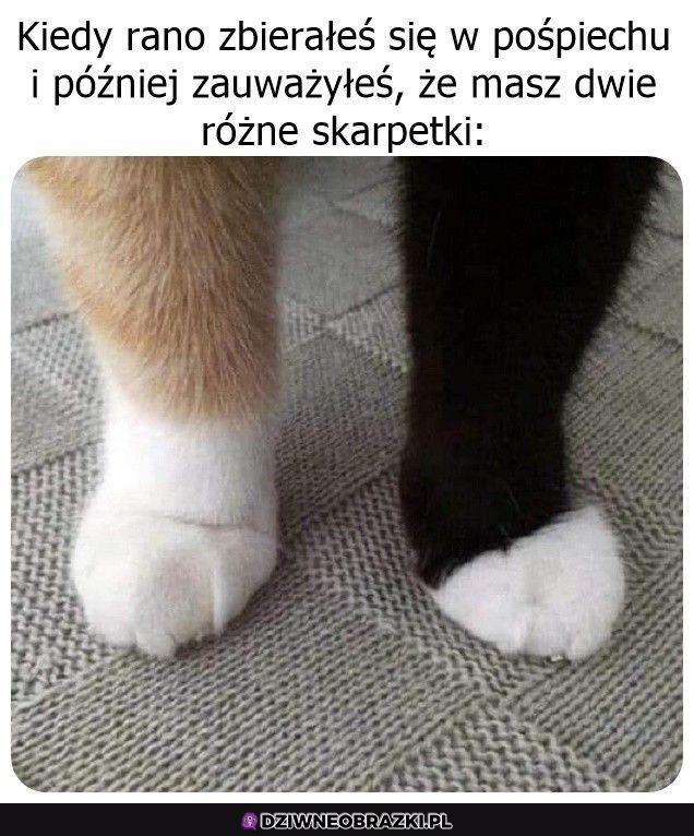 Kiedy za bardzo się rano śpieszysz