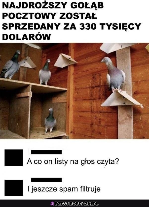 Drogo