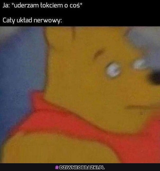 Ten moment