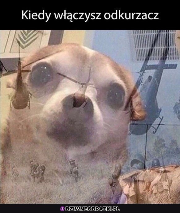 Prawdziwy wietnam