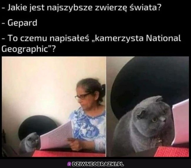 Najszybsze na świecie