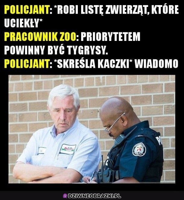 Ucieczka z zoo