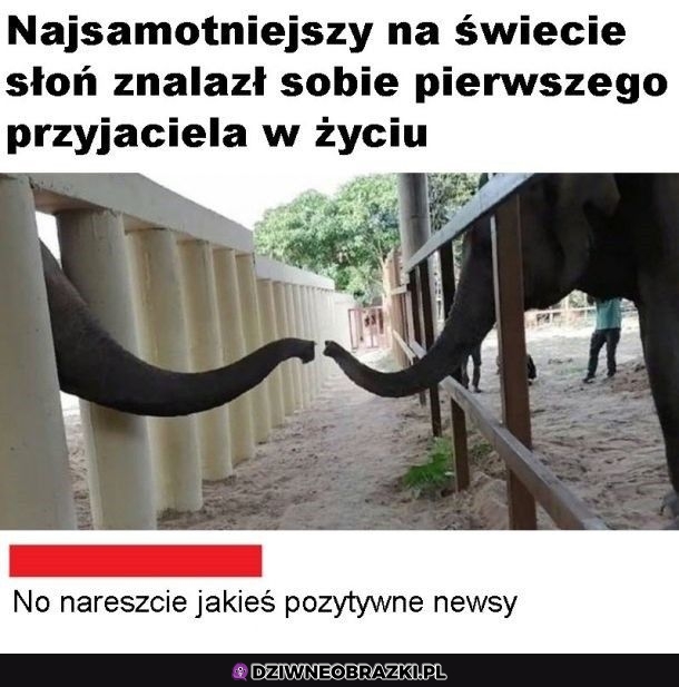 Nareszcie coś w tym roku