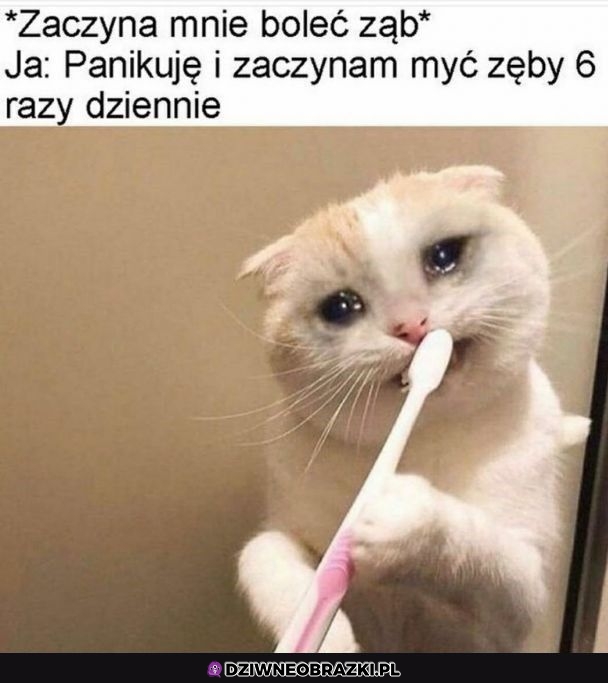 Ale już za późno